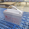 High Quality Maintenance-Free 12V 100AH Gel Battery - Deep Cycle Rechargeable AGM for Solar, Wind Power, Backup & Mobility Applications 4. 超高性价比版