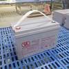 High Quality Maintenance-Free 12V 100AH Gel Battery - Deep Cycle Rechargeable AGM for Solar, Wind Power, Backup & Mobility Applications 4. 超高性价比版