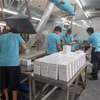 Hot sales foothold 6V3.3Ah rechargeable batteries lead acid batteries ups battery