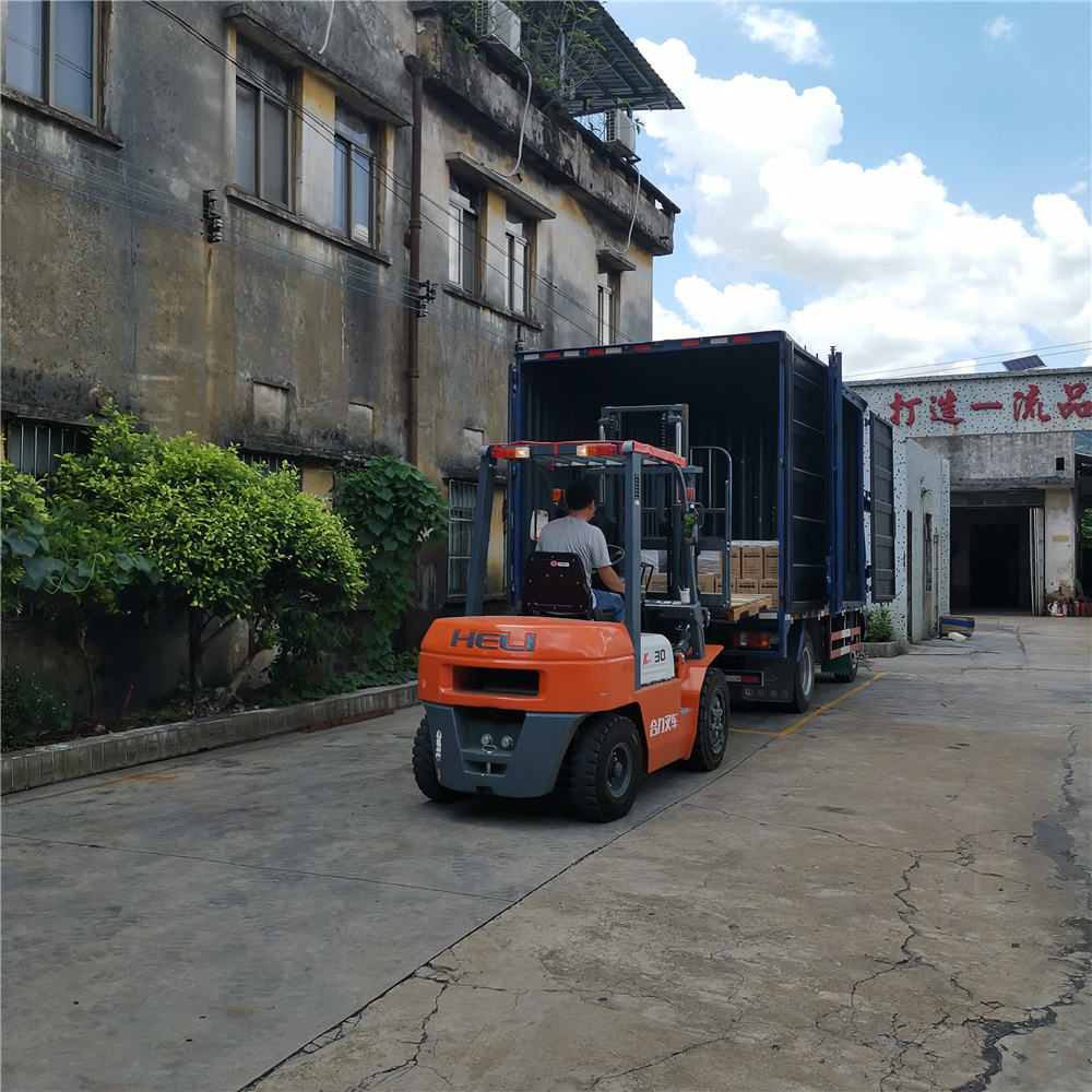 Inverter Battery